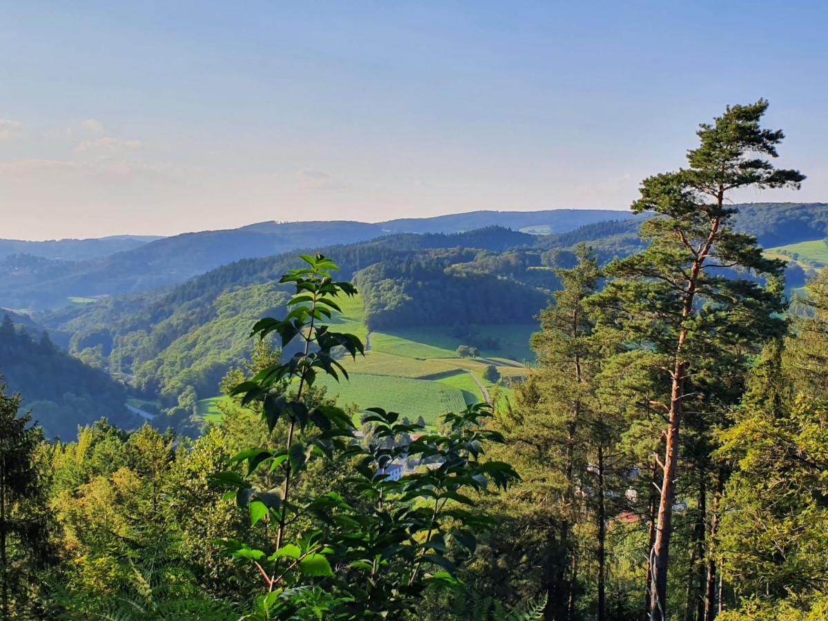 Odenwald-Lodge Mit Infrarotsauna Und E-Ladestation Im Naturpark Odenwald "Haus Himmelblau" Reichelsheim 외부 사진