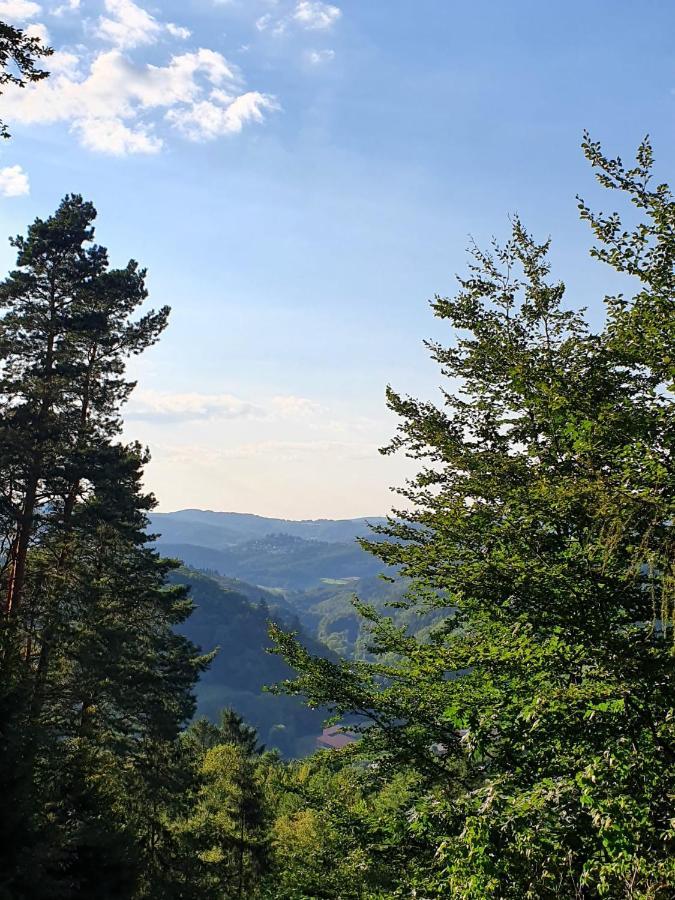 Odenwald-Lodge Mit Infrarotsauna Und E-Ladestation Im Naturpark Odenwald "Haus Himmelblau" Reichelsheim 외부 사진