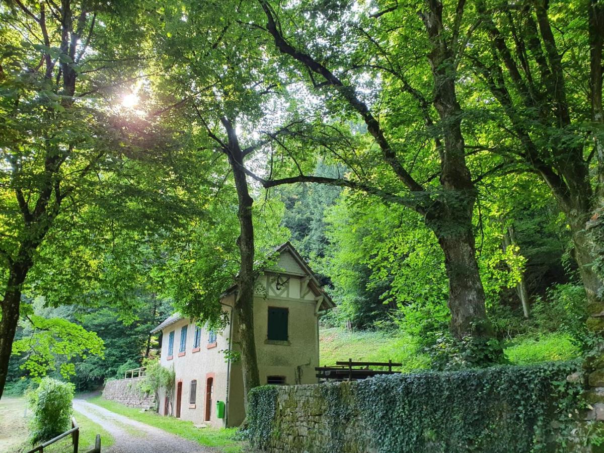 Odenwald-Lodge Mit Infrarotsauna Und E-Ladestation Im Naturpark Odenwald "Haus Himmelblau" Reichelsheim 외부 사진