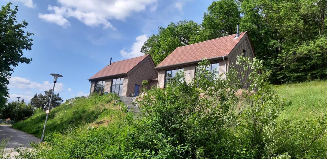 Odenwald-Lodge Mit Infrarotsauna Und E-Ladestation Im Naturpark Odenwald "Haus Himmelblau" Reichelsheim 외부 사진