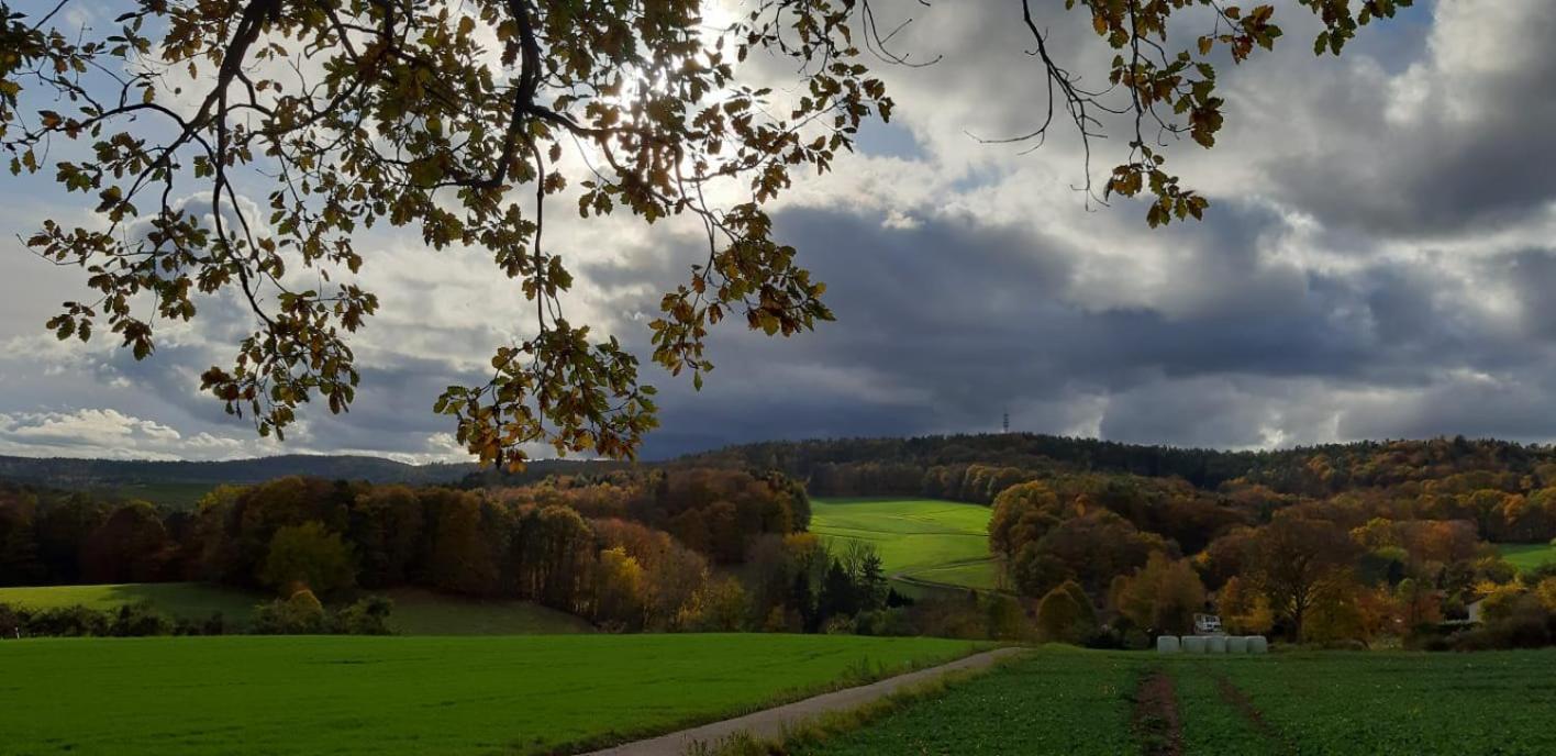 Odenwald-Lodge Mit Infrarotsauna Und E-Ladestation Im Naturpark Odenwald "Haus Himmelblau" Reichelsheim 외부 사진
