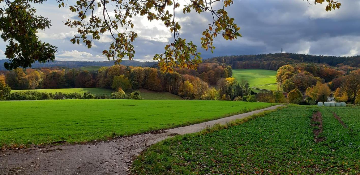 Odenwald-Lodge Mit Infrarotsauna Und E-Ladestation Im Naturpark Odenwald "Haus Himmelblau" Reichelsheim 외부 사진