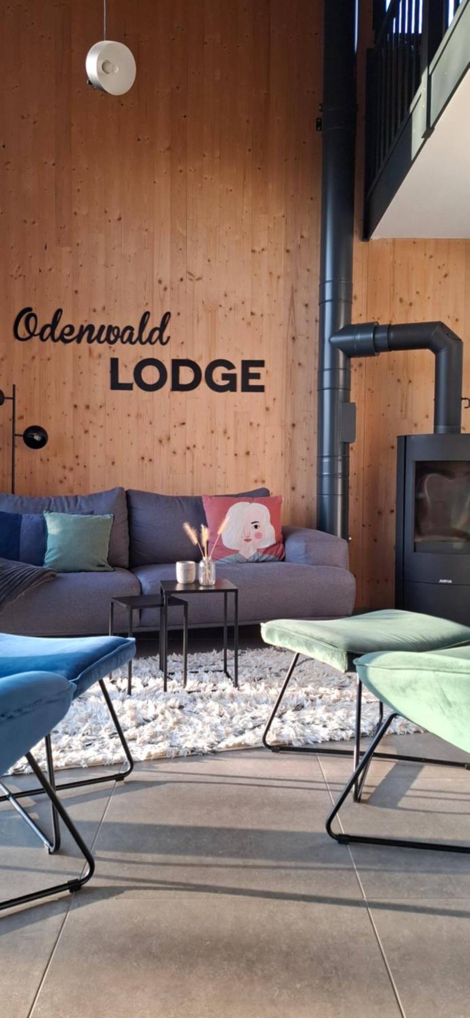Odenwald-Lodge Mit Infrarotsauna Und E-Ladestation Im Naturpark Odenwald "Haus Himmelblau" Reichelsheim 외부 사진
